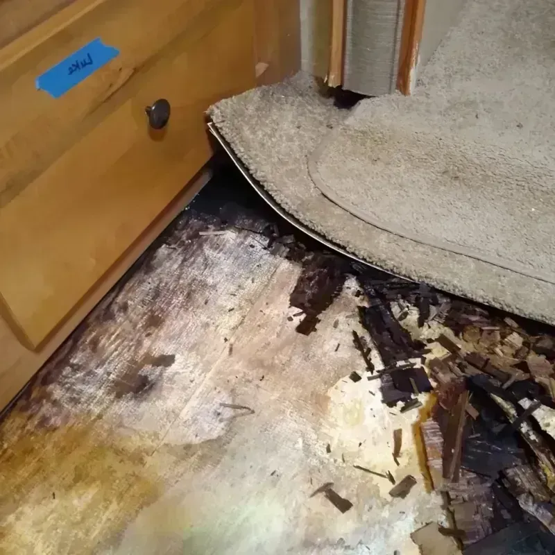 Best Wood Floor Water Damage Service in Cherokee County, AL